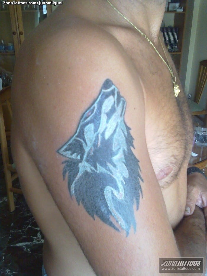 Foto de tatuaje Animales, Lobos, Cover Up