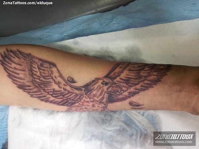 Foto de tatuaje Águilas, Aves, Animales