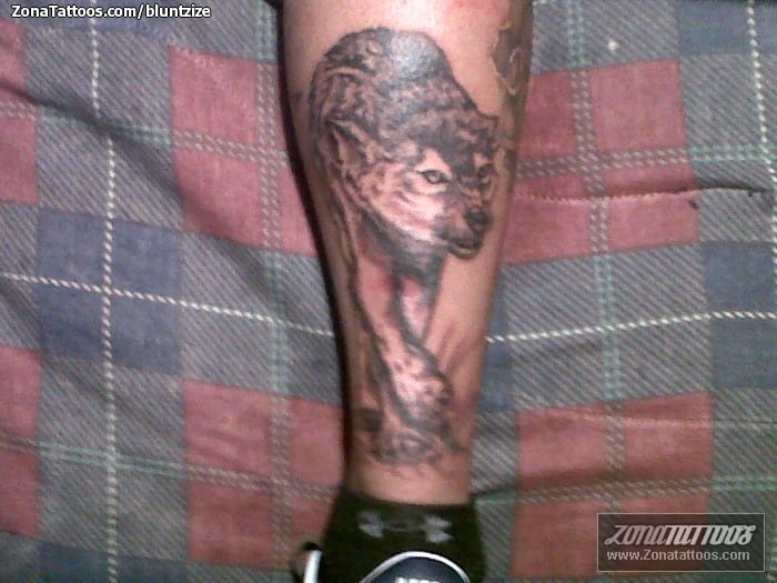 Tattoo photo Animals, Wolfs