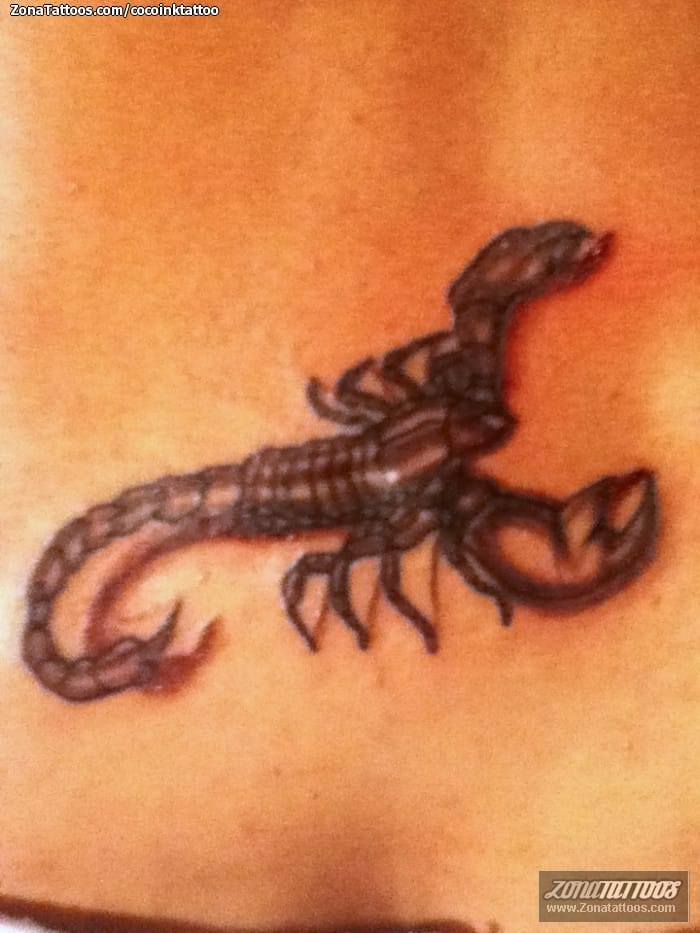 Tattoo photo Scorpions, Insects