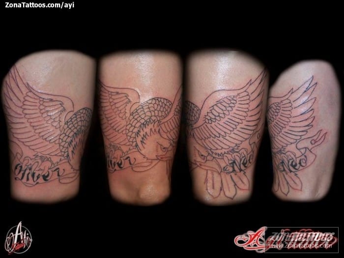 Tattoo photo Eagles, Birds, Animals