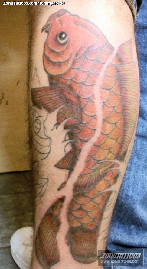 Tattoo photo Koi, Fish, Animals