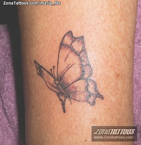 Foto de tatuaje Mariposas, Insectos