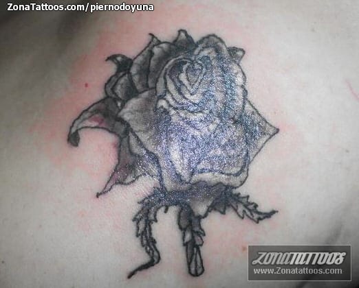 Tattoo photo Roses, Flowers