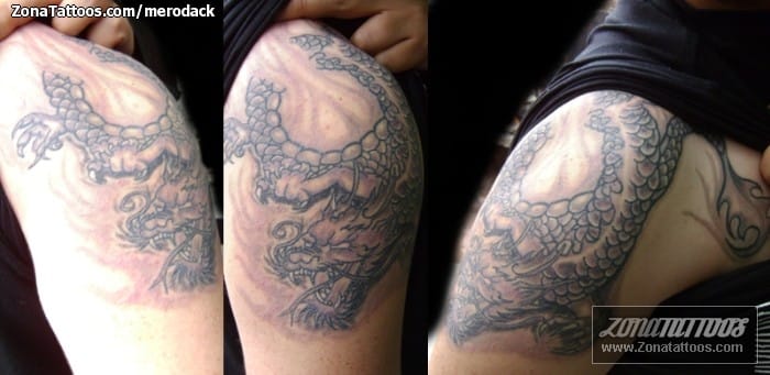 Tattoo photo Dragons, Asian, Shoulder