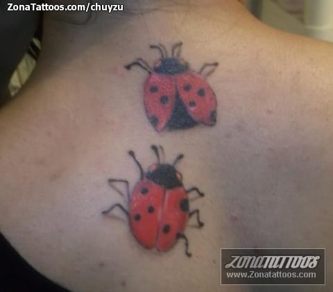 Foto de tatuaje Insectos, Mariquitas