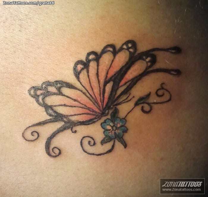 Tattoo photo Butterflies, Insects