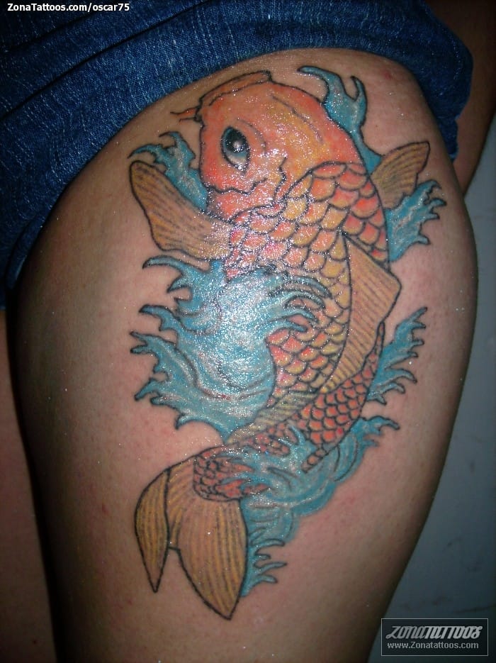 Tattoo photo Koi, Fish, Animals