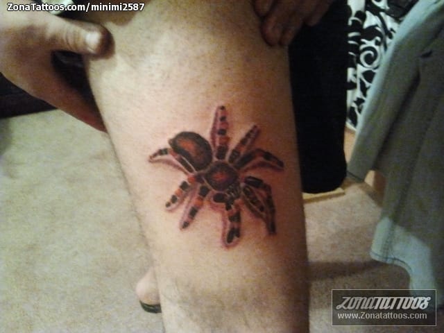 Tattoo photo Tarantulas, Insects