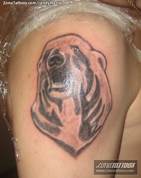 Foto de tatuaje Osos, Animales