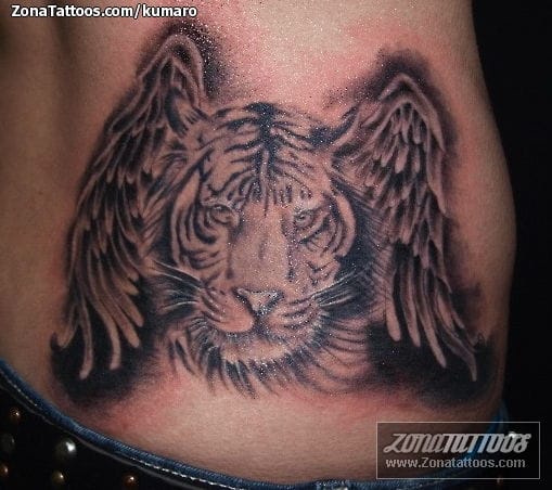 Tattoo photo Tigers, Wings, Animals