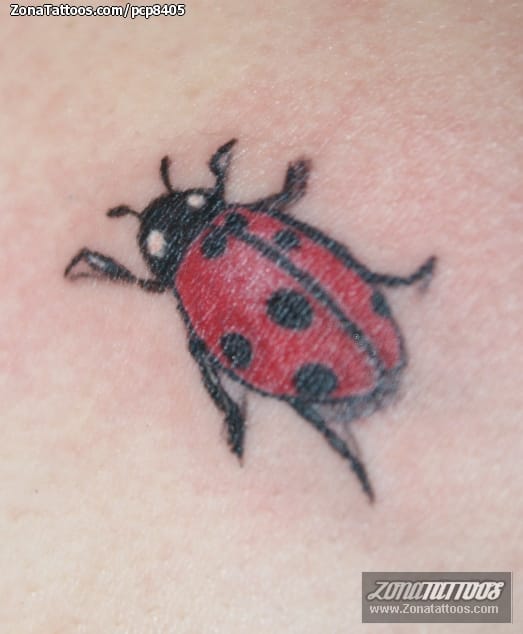 Tattoo photo Ladybugs, Insects