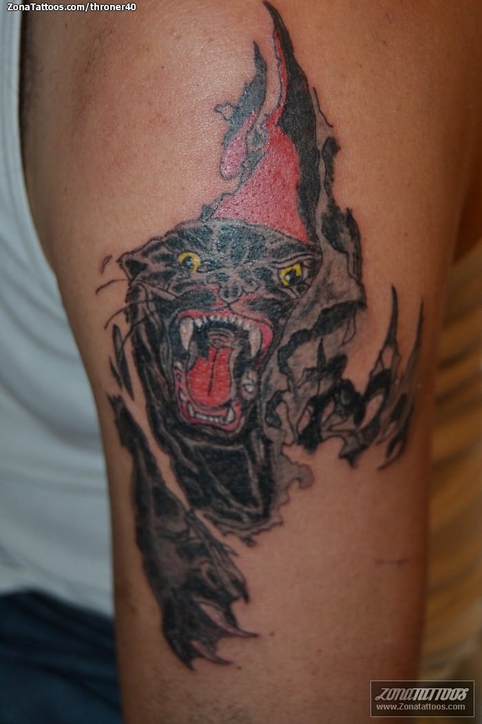 Tattoo photo Panthers, Animals