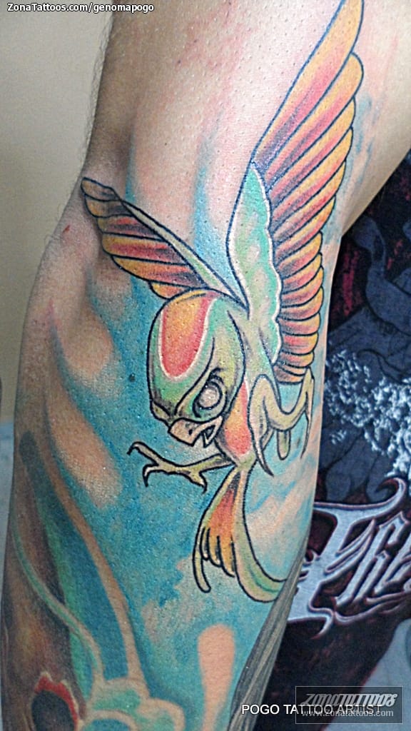 Foto de tatuaje New School, Aves, Animales