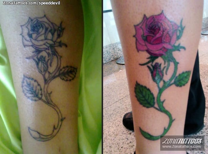 Foto de tatuaje Flores, Rosas