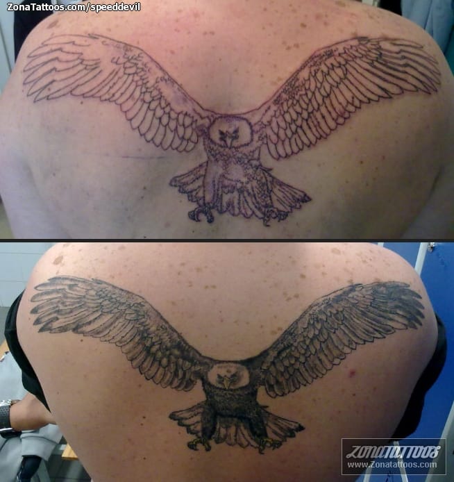 Tattoo photo Eagles, Birds, Animals