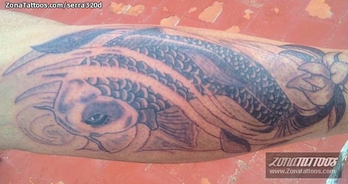 Foto de tatuaje Animales, Koi, Gemelo