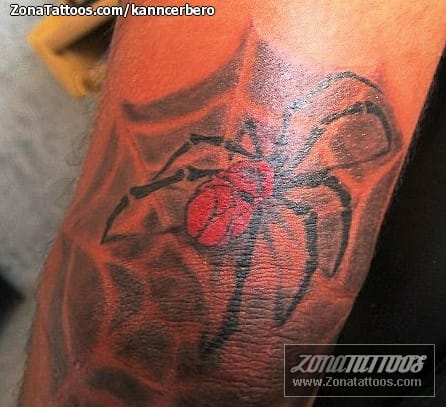 Tattoo photo Spiders, Cobwebs, Insects