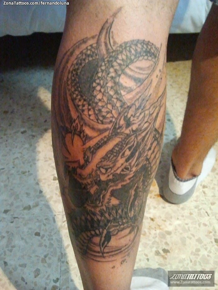 Foto de tatuaje Dragones, Orientales, Gemelo