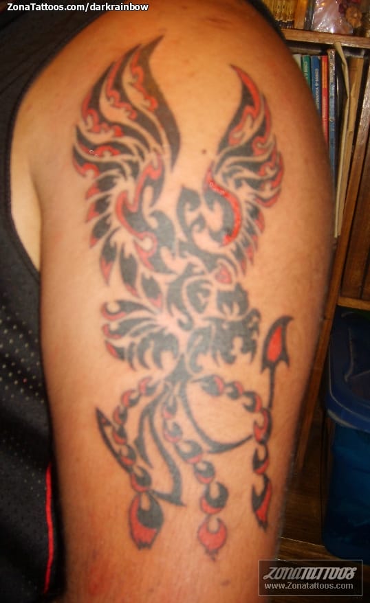 Tattoo photo Tribal, Phoenix