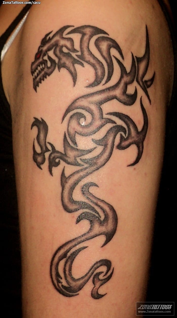 Tattoo photo Tribal, Dragons