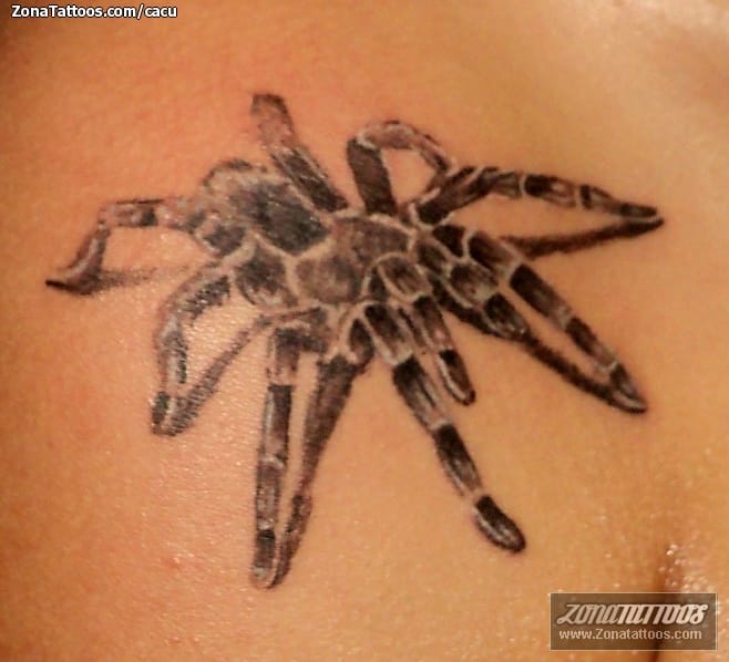 Foto de tatuaje Insectos, Tarántulas, Animales