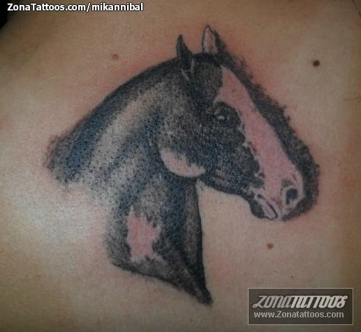 Foto de tatuaje Caballos, Animales