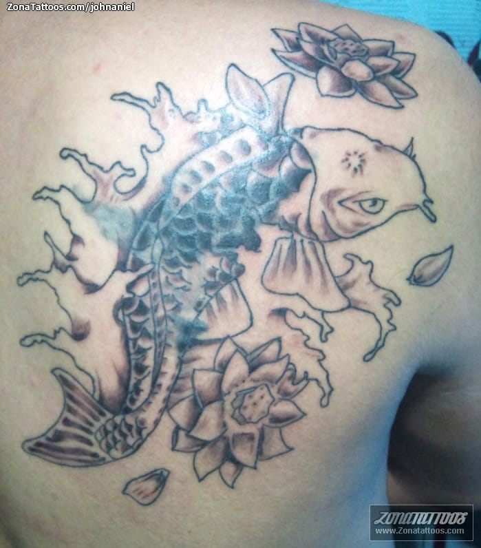 Tattoo photo Koi, Fish, Animals