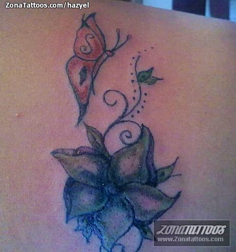 Tattoo photo Butterflies, Flowers, Insects