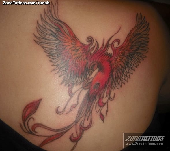 Tattoo photo Phoenix, Fantasy