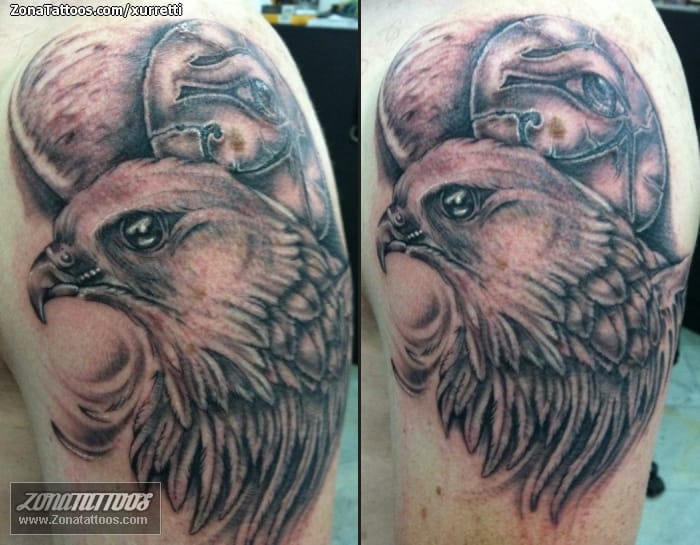 Foto de tatuaje Halcones, Aves, Animales