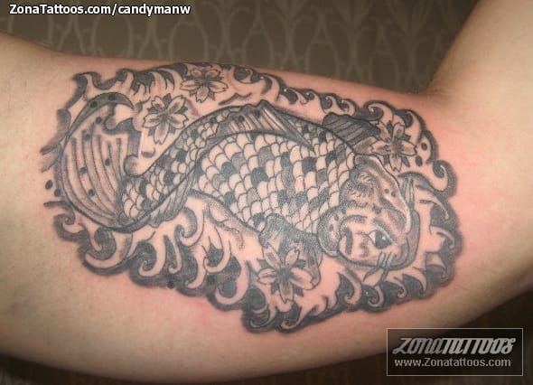 Tattoo photo Koi, Fish, Animals