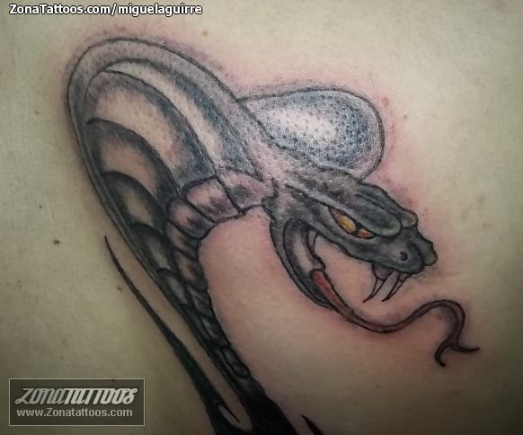 Tattoo photo Snakes, Animals, Cobras