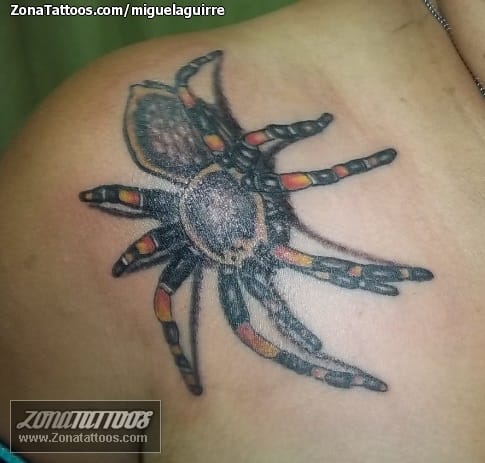 Foto de tatuaje Tarántulas, Animales