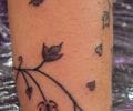 Tatuaje de Mino_de_Torres