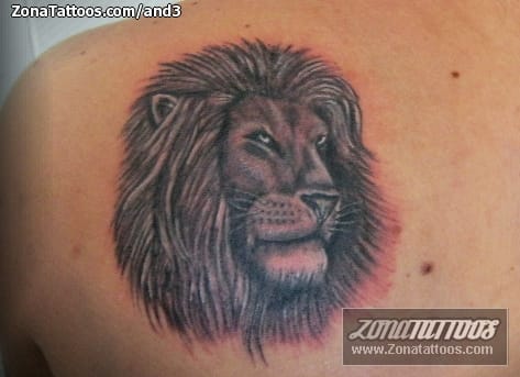 Tattoo photo Lions, Animals