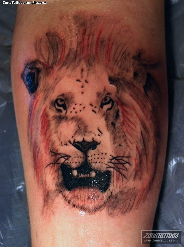 Tattoo photo Animals, Lions