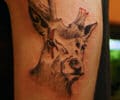 Tattoo by LuzAzca