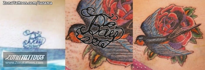 Tattoo photo Swallows, Roses, Cover Up