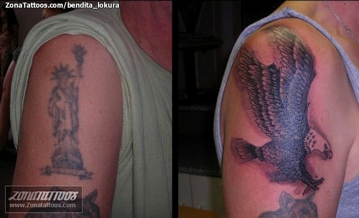 Tattoo photo Cover Up, Birds, Eagles