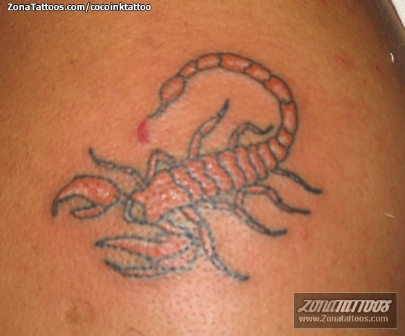 Tattoo photo Scorpions, Insects