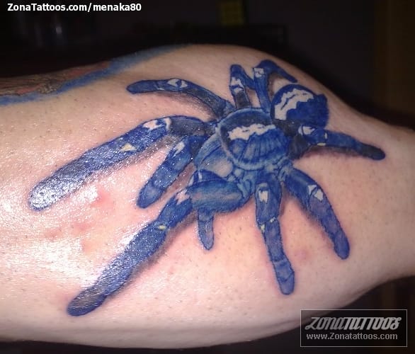 Tattoo photo Tarantulas, Animals