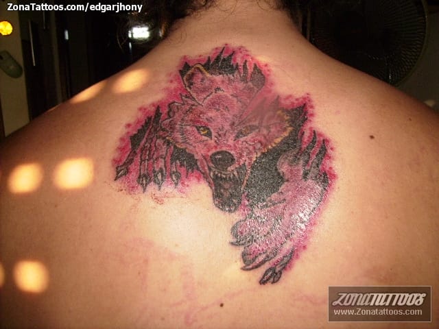 Tattoo photo Wolfs, Animals