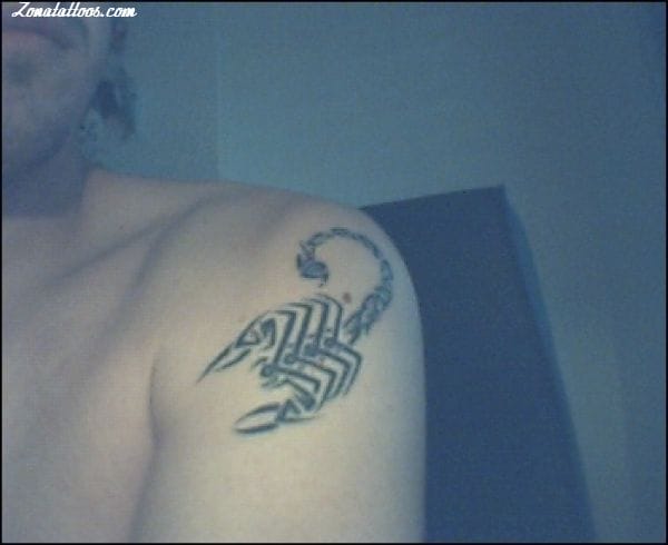 Tattoo photo Scorpions, Insects, Shoulder