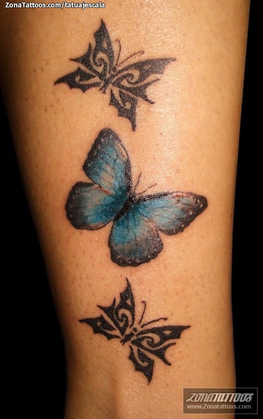 Foto de tatuaje Mariposas, Insectos