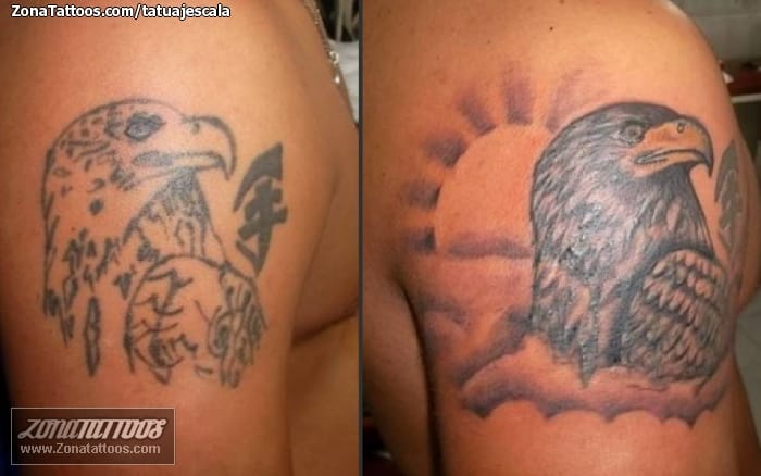 Tattoo photo Cover Up, Animals, Birds