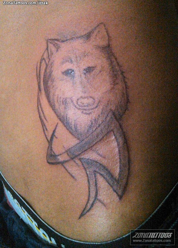 Tattoo photo Wolfs, Tribal