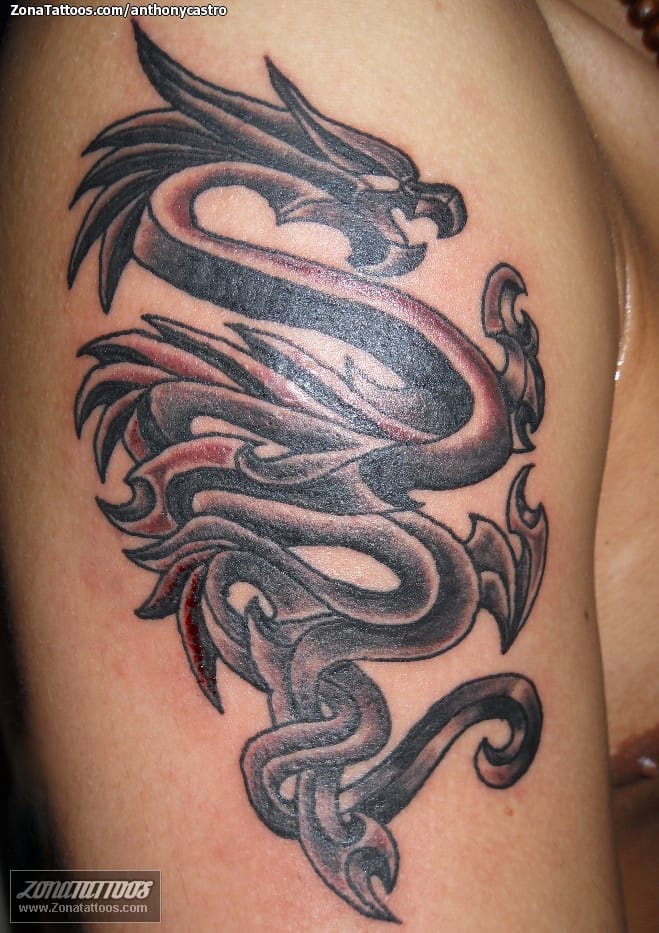 Foto de tatuaje Dragones