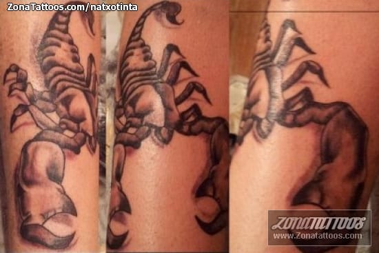 Tattoo photo Scorpions, Insects