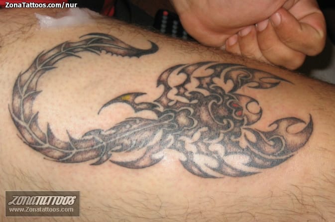 Foto de tatuaje Escorpiones, Insectos, Tribales